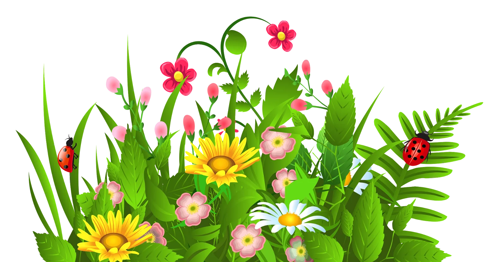 Lush Garden Clipart with Colorful Blossoming Flowers and Green Foliage