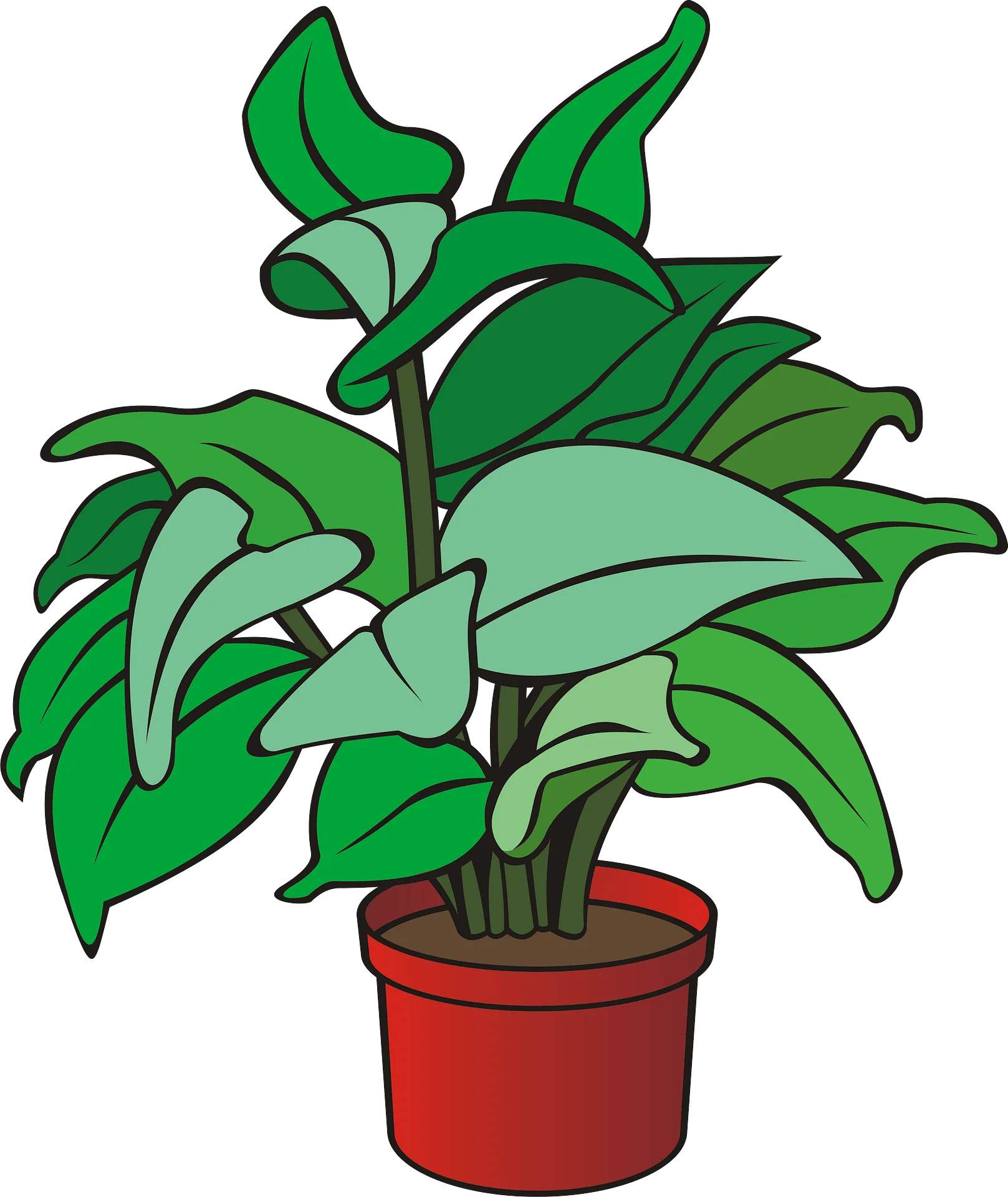 Lush Green Houseplant in Classic Red Terracotta Pot Botanical Clipart Illustration