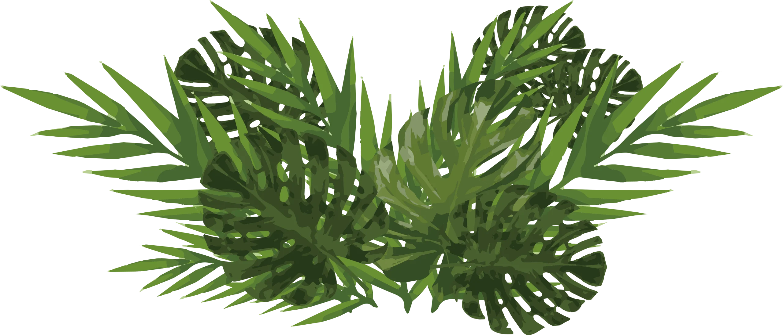 Lush Tropical Palm and Monstera Leaves Botanical Clipart Design Element
