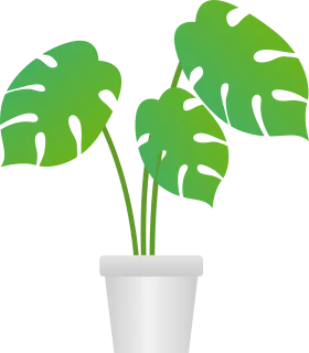 Minimalist Monstera Deliciosa Plant Clipart with Sleek White Pot Design