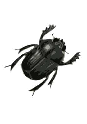 Monochromatic Detailed Black Beetle Clipart Illustration with Intricate Texture