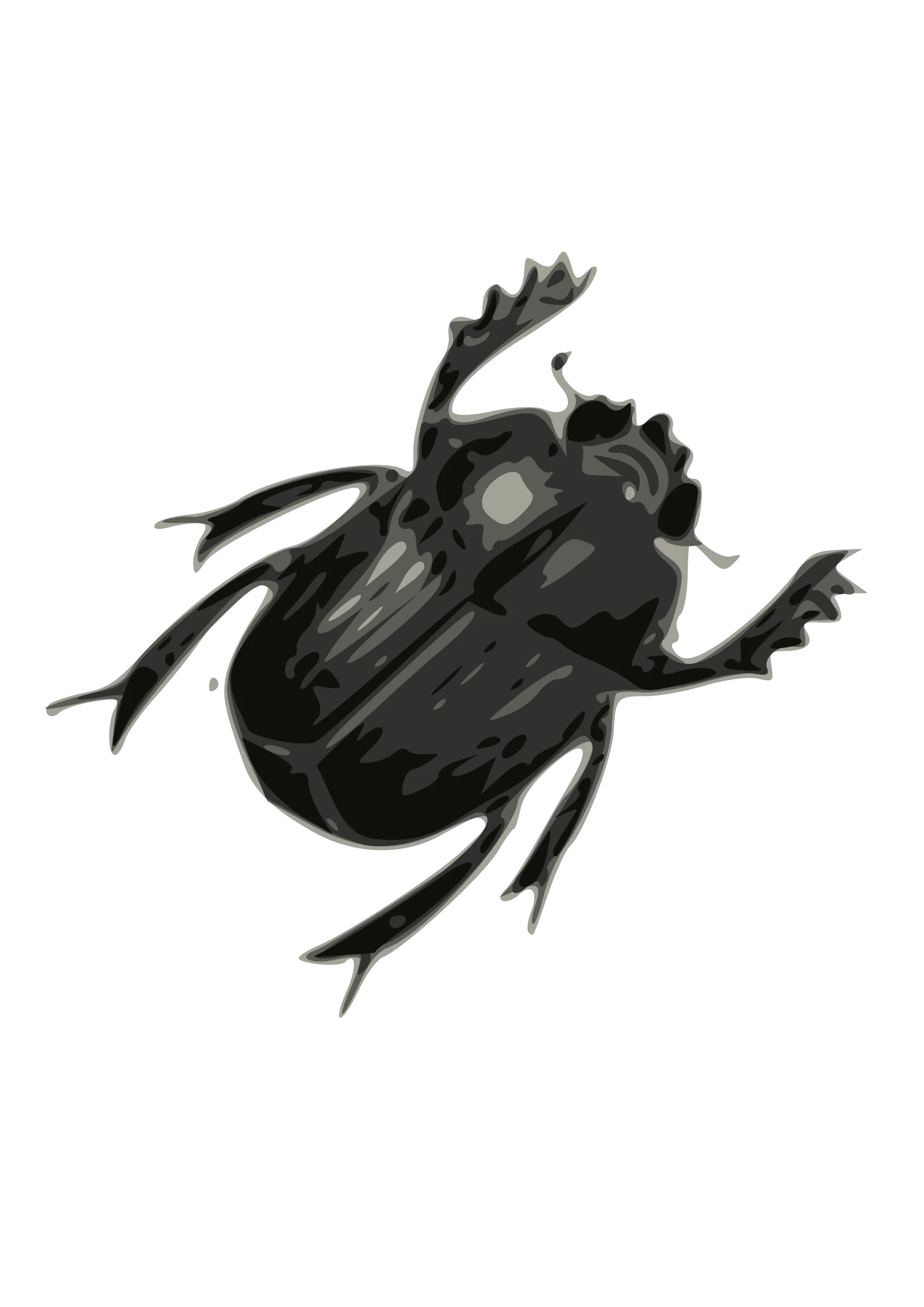 Monochromatic Detailed Black Beetle Clipart Illustration with Intricate Texture