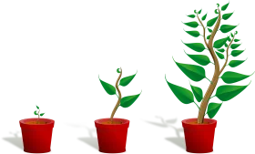 Progressive Growth Stages of a Plant Clipart: From Seedling to Mature Tree
