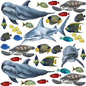 Ocean Marine Life Underwater World Sea Creatures Detailed Clipart Collection