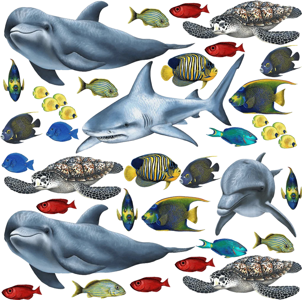 Ocean Marine Life Underwater World Sea Creatures Detailed Clipart Collection