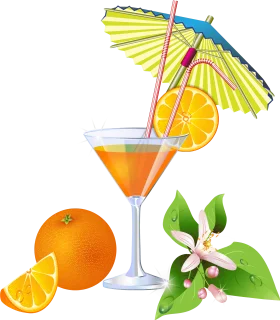 Tropical Sunshine Cocktail Clipart: A Zesty Orange Drink with Decorative Umbrella