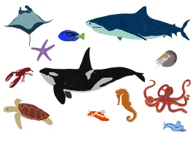 Whimsical Marine Life Creatures Underwater Ecosystem Clipart Collection
