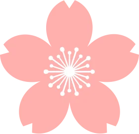 Delicate Pastel Pink Cherry Blossom Flower Simple Minimalist Clipart Design