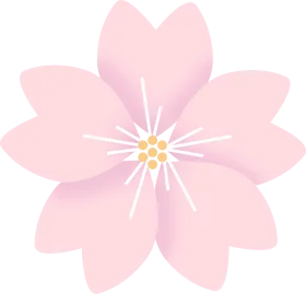 Delicate Pastel Pink Cherry Blossom Flower Soft Watercolor Clipart Design