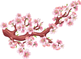 Delicate Pink Cherry Blossom Branch Watercolor Clipart Illustration