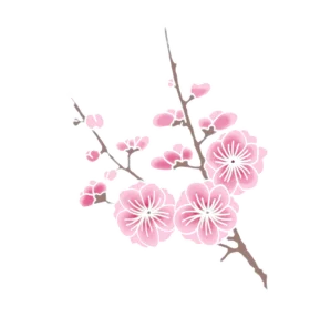Delicate Pink Cherry Blossom Branch Watercolor Clipart Illustration