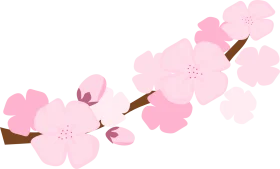 Delicate Pink Cherry Blossom Branch Watercolor Clipart Illustration