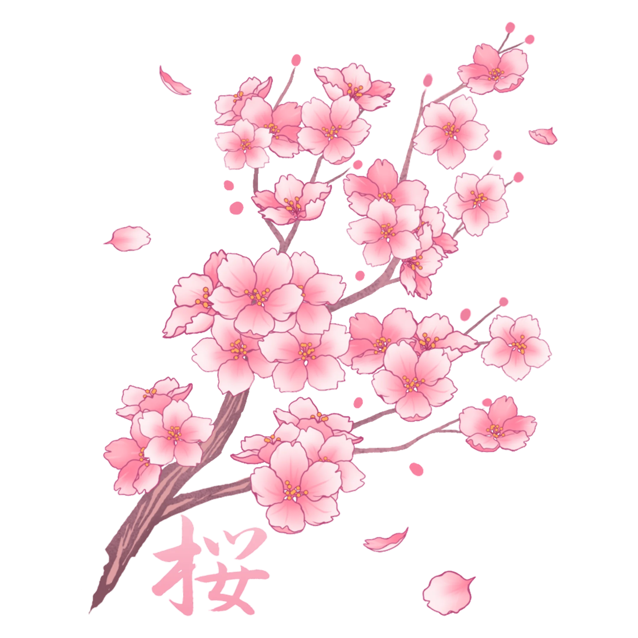 Delicate Pink Cherry Blossom Branch Watercolor Clipart with Soft Petal Scatter