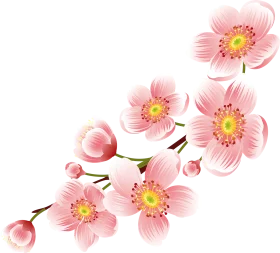 Delicate Pink Cherry Blossom Clipart Illustration with Soft Watercolor Petals