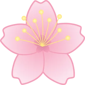 Delicate Pink Cherry Blossom Clipart with Soft Pastel Watercolor Petals