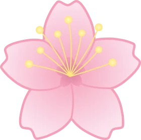 Delicate Pink Cherry Blossom Flower Soft Pastel Clipart Design Element