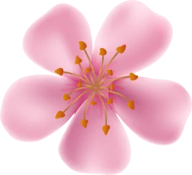 Delicate Pink Cherry Blossom Flower Soft Watercolor Clipart Design
