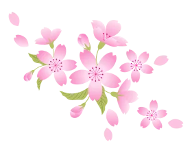 Delicate Pink Cherry Blossom Watercolor Clipart with Soft Floral Essence