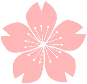 Delicate Soft Pink Cherry Blossom Clipart Illustration with Symmetrical Design