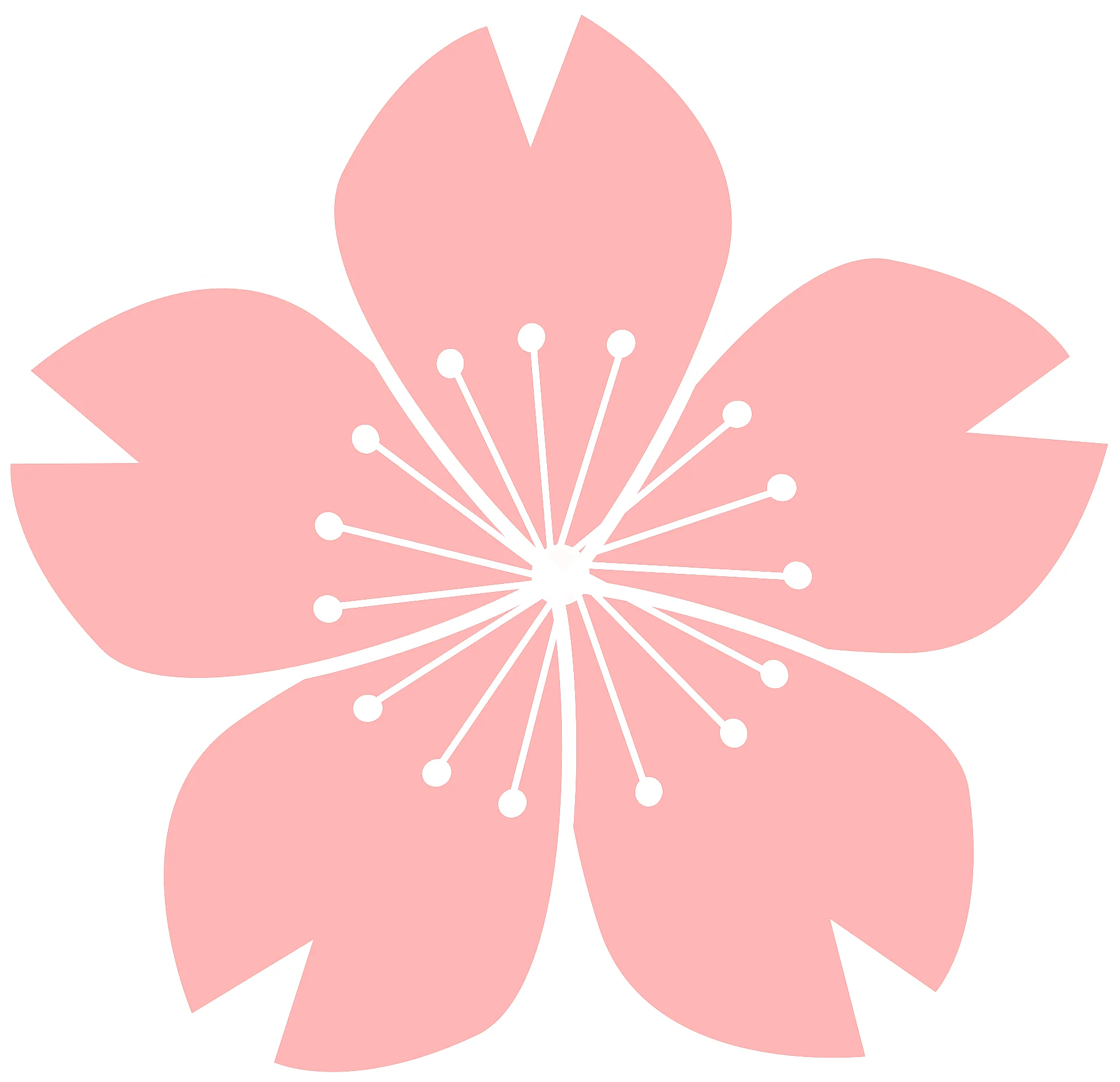 Delicate Soft Pink Cherry Blossom Clipart Illustration with Symmetrical Design