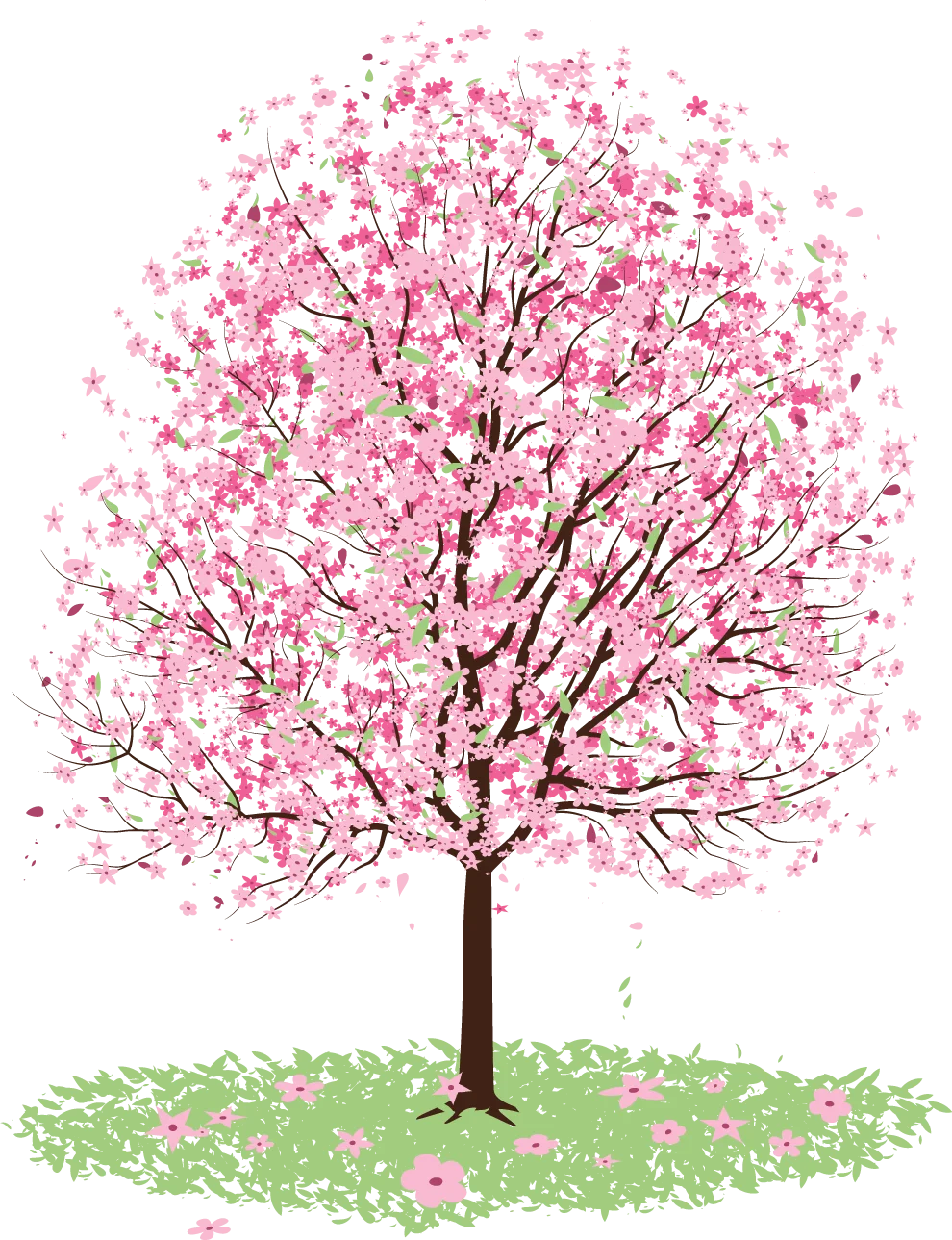 Enchanting Cherry Blossom Clipart: Delicate Pink Blossoms on Serene Spring Tree