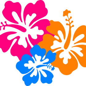 Tropical Hawaiian Hibiscus Flower Blossoms Colorful Summer Clipart Design