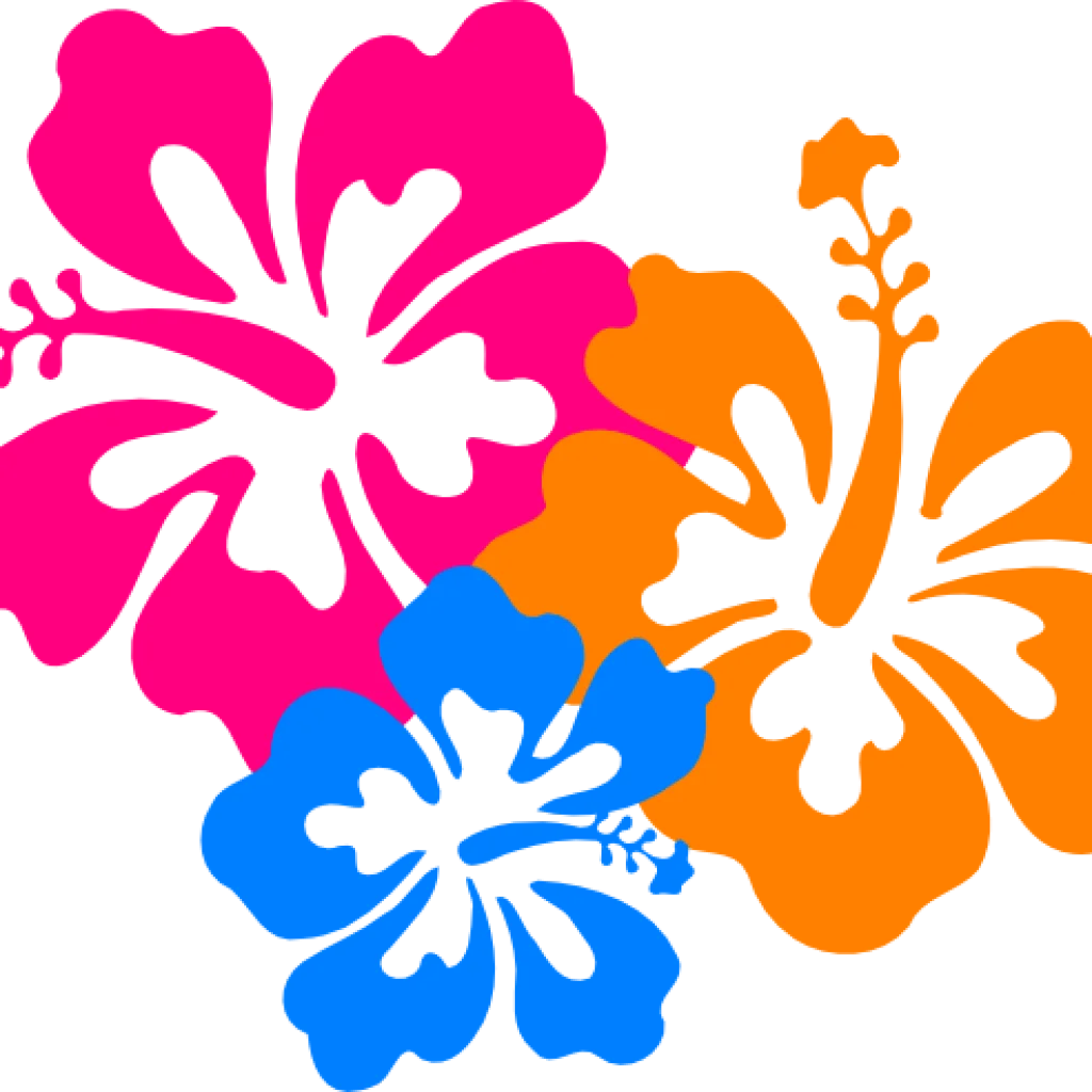 Tropical Hawaiian Hibiscus Flower Blossoms Colorful Summer Clipart Design