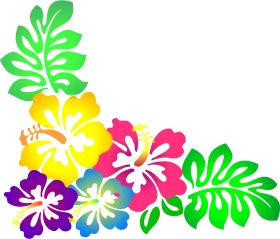 Tropical Hawaiian Hibiscus Flower Corner Border Clipart Design
