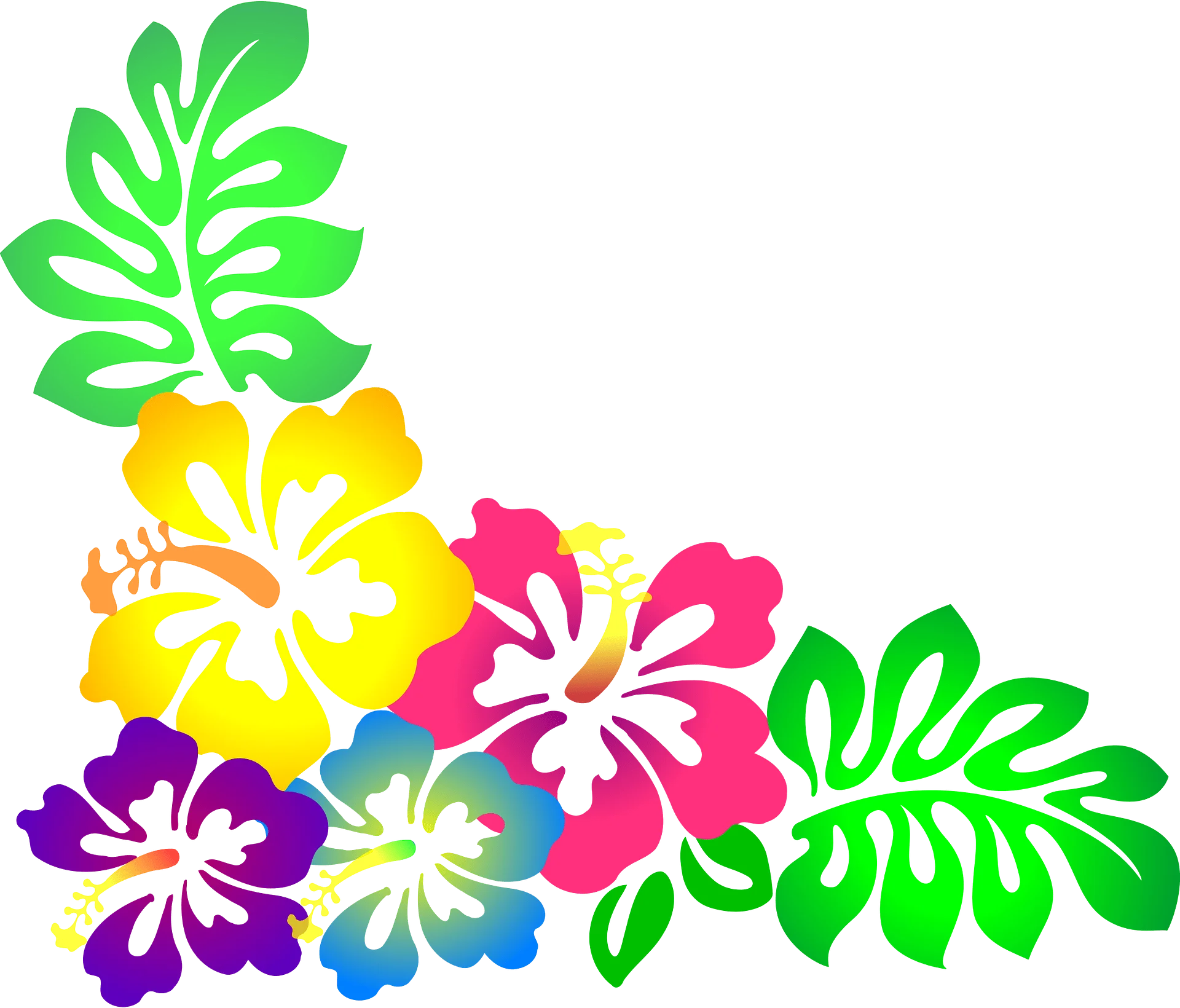 Tropical Hawaiian Hibiscus Flower Corner Border Clipart Design