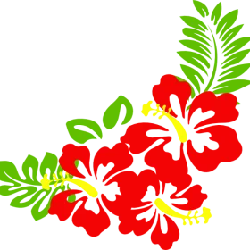 Tropical Hawaiian Hibiscus Flowers Elegant Corner Clipart Design