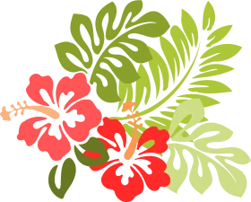 Tropical Hawaiian Hibiscus Flowers with Lush Green Leaves Clipart Design