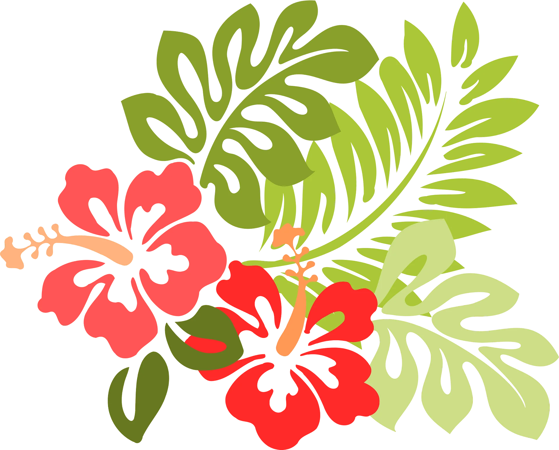 Tropical Hawaiian Hibiscus Flowers with Lush Green Leaves Clipart Design