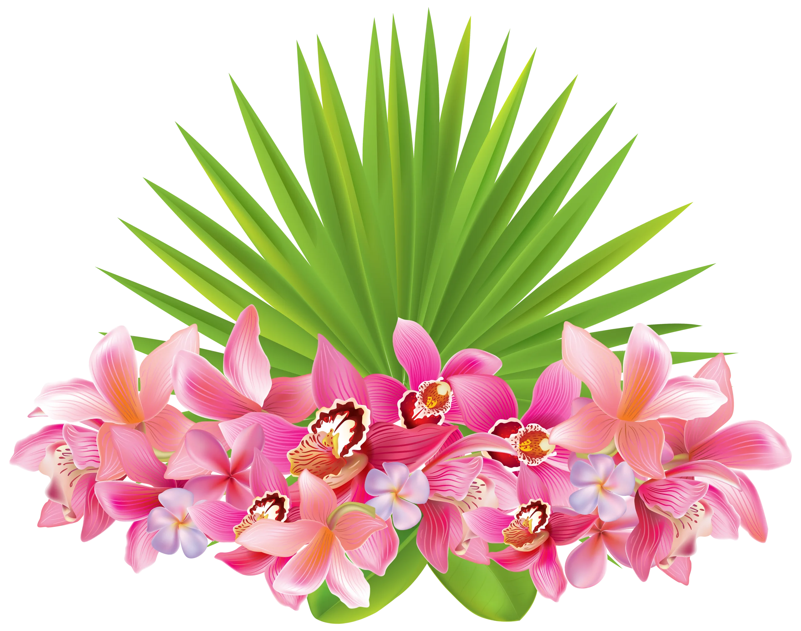 Tropical Paradise Clipart: Lush Palm Fronds and Exotic Orchid Blossoms Arrangement