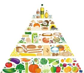 Comprehensive Nutritional Food Pyramid Clipart: A Visual Guide to Balanced Eating