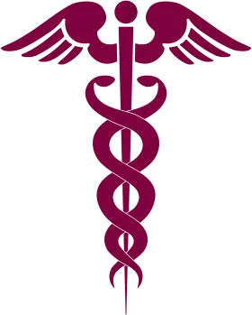 Classic Medical Caduceus Symbol Maroon Colored Healthcare Clipart Design