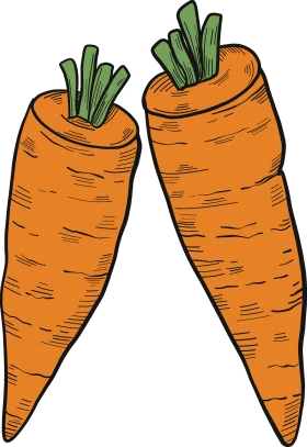 Fresh Garden Carrots Clipart: Illustrated Organic Vegetable Drawing