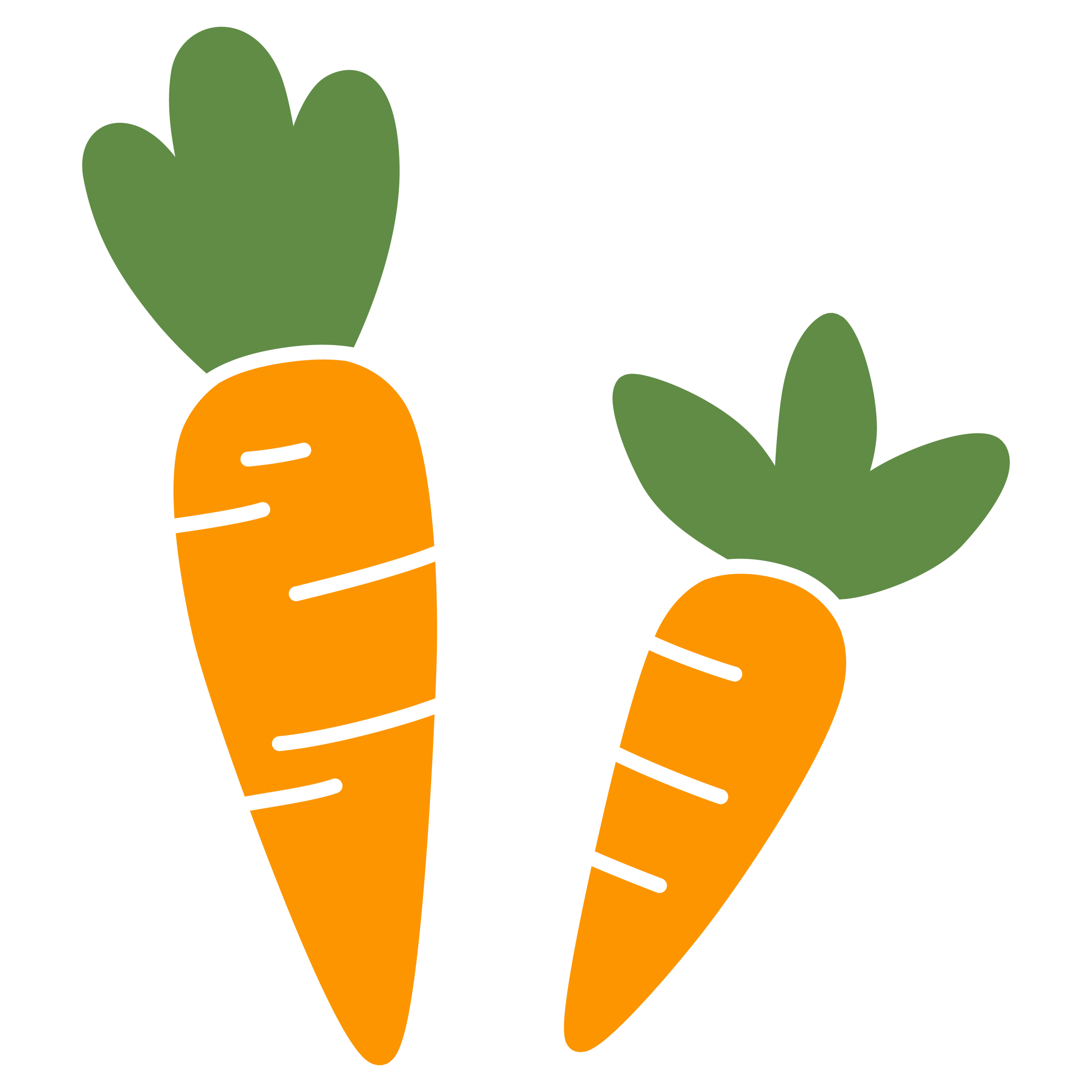 Fresh Garden Harvest: Cheerful Orange Carrots Clipart Design Element