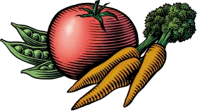 Fresh Garden Harvest Illustration: Vintage-Style Vegetables Clipart Composition