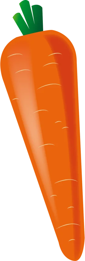 Fresh Orange Carrot Clipart with Textured Surface and Green Leafy Top