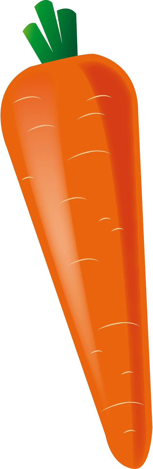 Fresh Orange Carrot Clipart with Textured Surface and Green Leafy Top