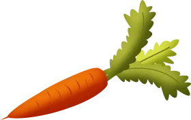 Fresh Orange Carrot with Leafy Green Tops - Illustrated Vegetable Clipart Design