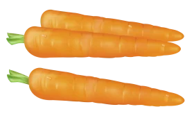 Fresh Orange Carrots Clipart: Crisp Vegetable Illustration for Healthy Design