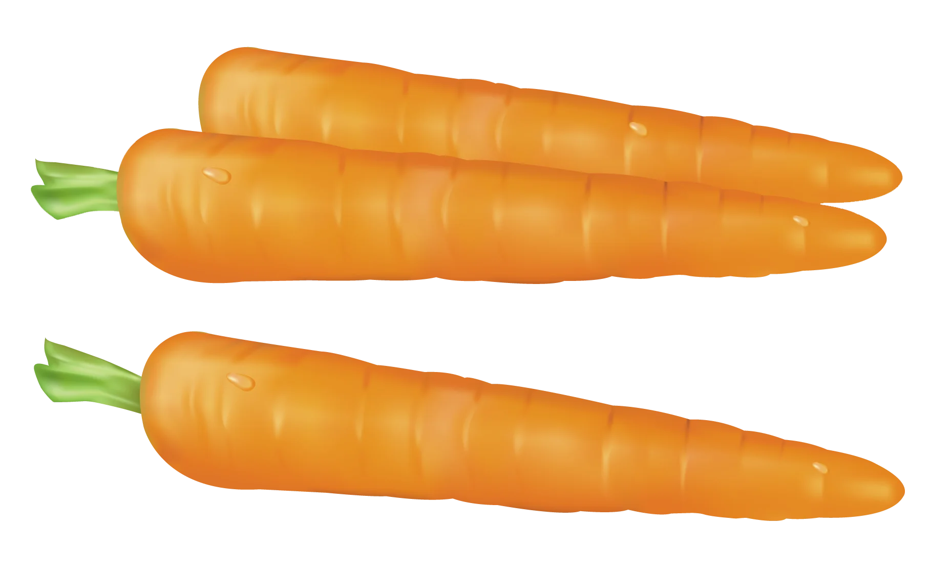 Fresh Orange Carrots Clipart: Crisp Vegetable Illustration for Healthy Design