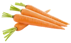 Fresh Orange Carrots Clipart: Crisp Vegetable Illustration with Green Stems