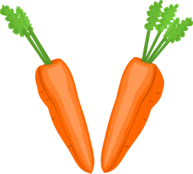 Fresh Orange Carrots Clipart: Garden Vegetables with Green Leafy Tops