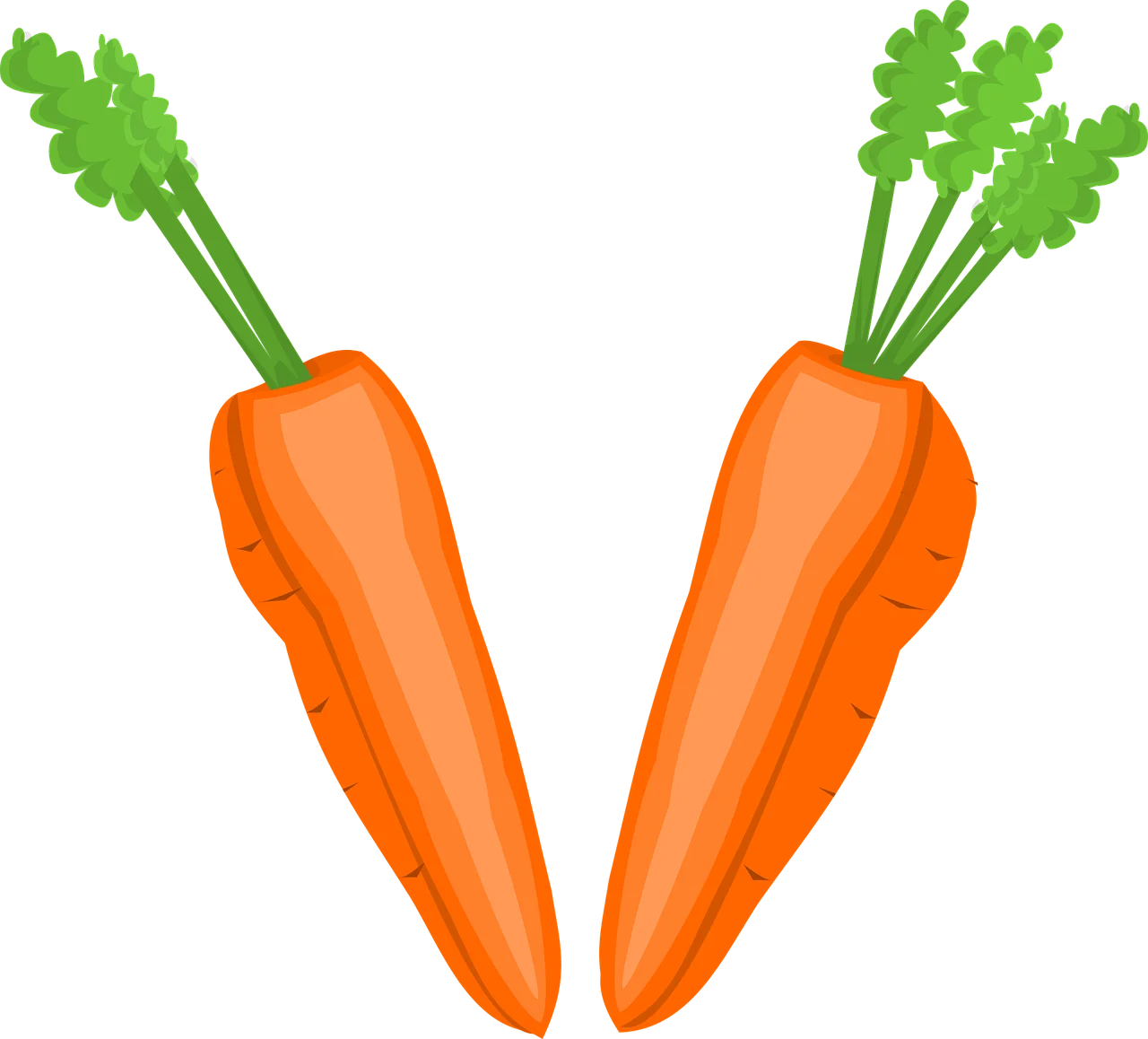 Fresh Orange Carrots Clipart: Garden Vegetables with Green Leafy Tops