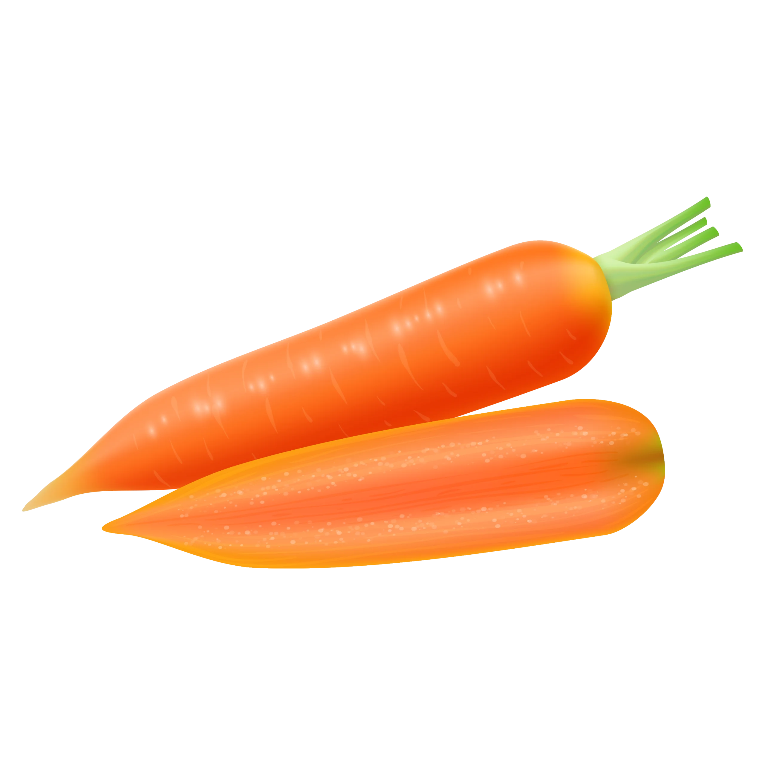 Fresh Orange Carrots Clipart Illustration with Crisp Green Tops
