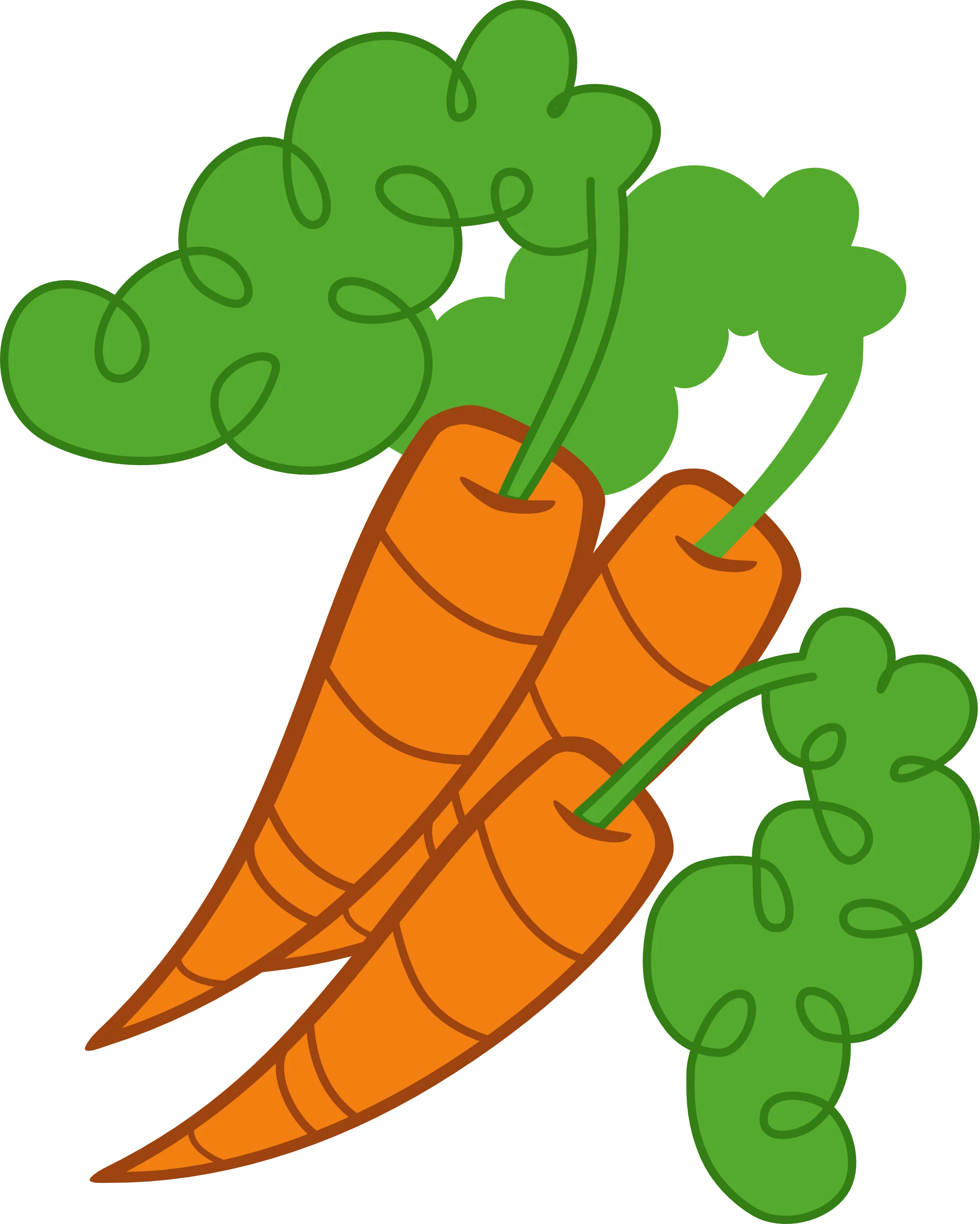 Fresh Orange Carrots with Green Leafy Tops: A Delightful Vegetable Clipart Design