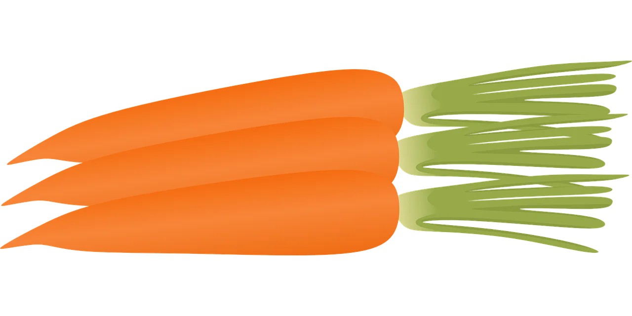 Fresh Orange Carrots with Green Tops: Adorable Agricultural Clipart Illustration