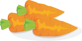 Fresh Orange Carrots with Green Tops Illustrated Clipart Design